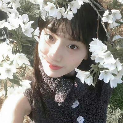 青春同人志